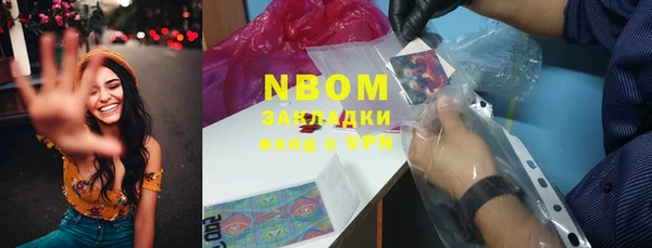 стаф Заводоуковск