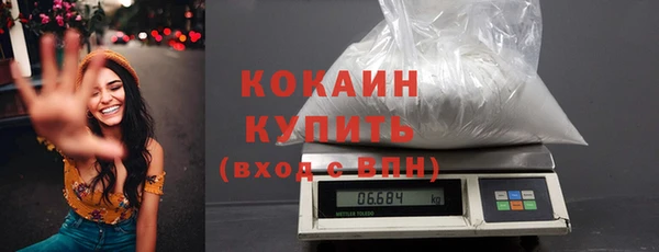 стаф Заводоуковск