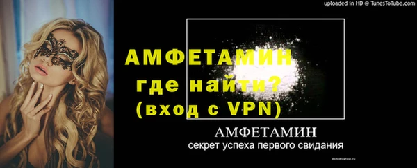 стаф Заводоуковск