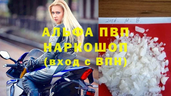 стаф Заводоуковск