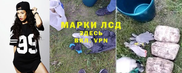 стаф Заводоуковск