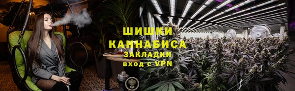 стаф Заводоуковск