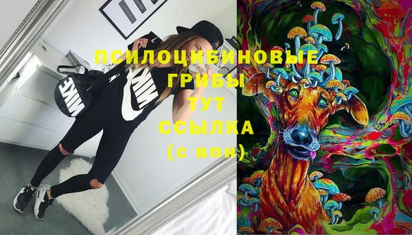 стаф Заводоуковск