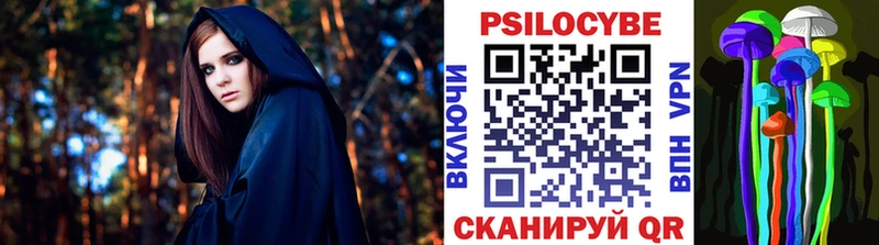 Псилоцибиновые грибы Psilocybine cubensis Исилькуль
